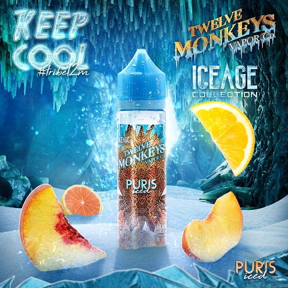 12 Monkeys Ice Age Puris iced Ejuice 60ml