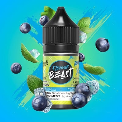 Blessed Blueberry Mint Iced Flavour Beast Salts