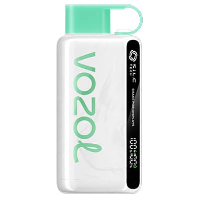 Watermelon BBG Star 9000 Puff by Vozol